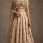 Champagne Gold Mirrorwork Lehenga